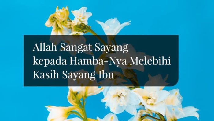 Kasih Sayang Allah dalam Syariat Islam